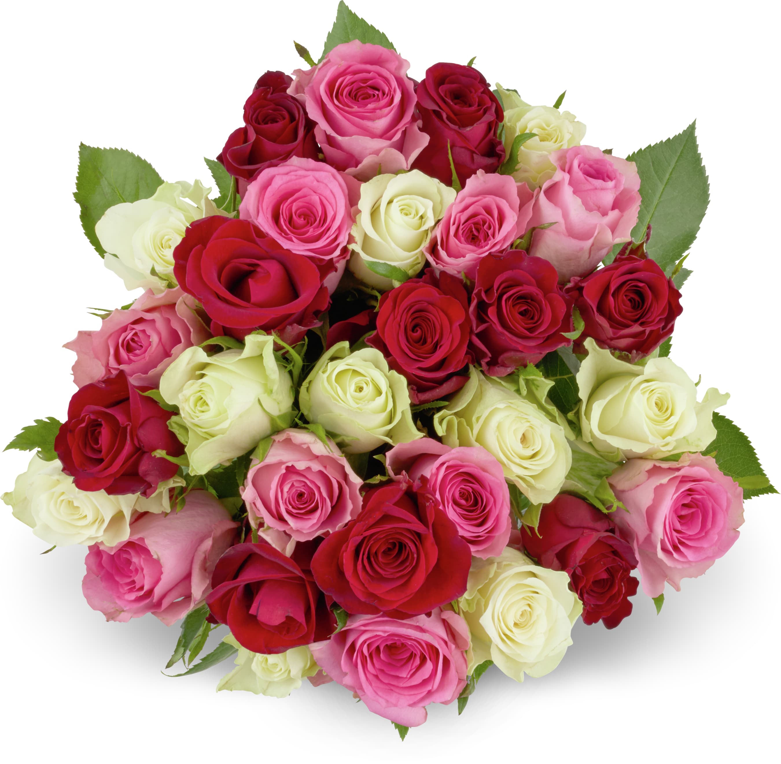 Migros Minirose 30 pezzi